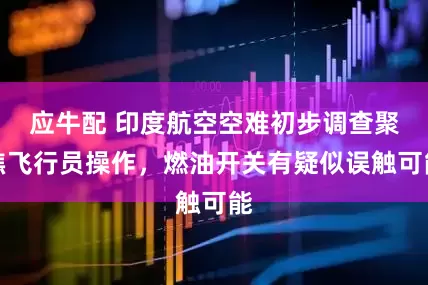 应牛配 印度航空空难初步调查聚焦飞行员操作，燃油开关有疑似误触可能