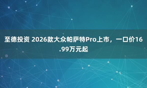 至德投资 2026款大众帕萨特Pro上市，一口价16.99万元起