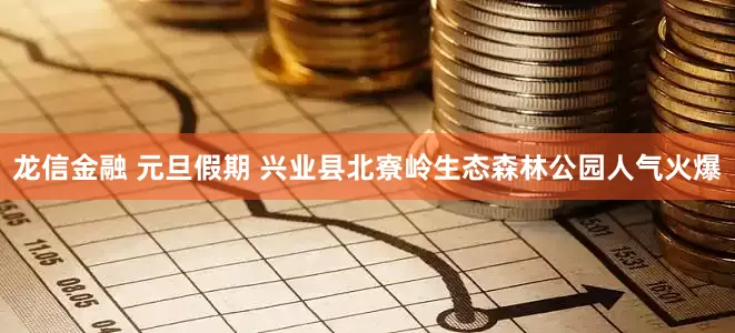龙信金融 元旦假期 兴业县北寮岭生态森林公园人气火爆